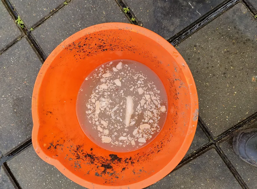 a dirty orange bowl sitting on the ground